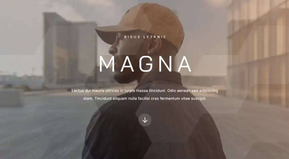 Professional Brand no code website template