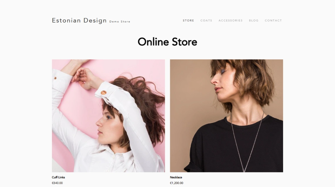 Fashion Accessories website template