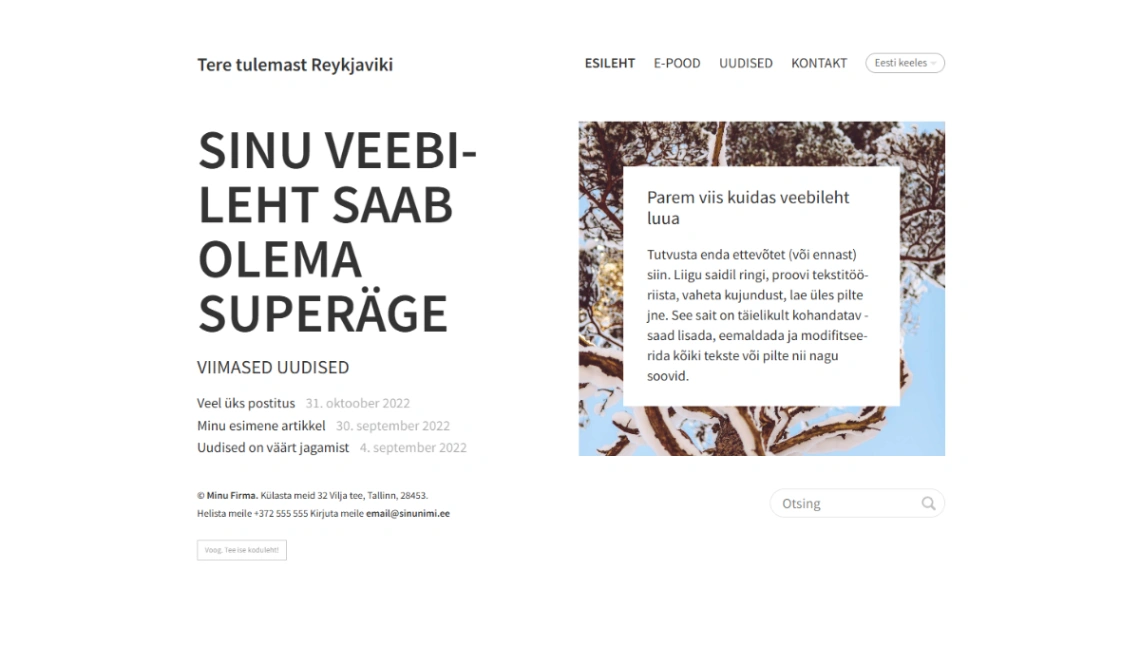 Minimalist Page website template