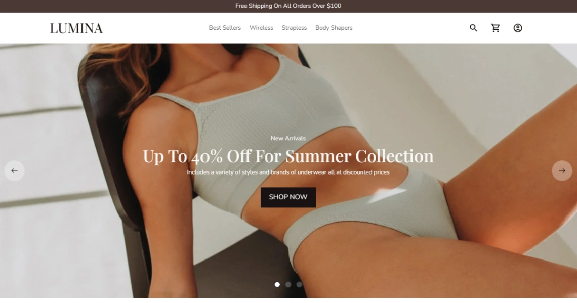 Lingerie Store website template