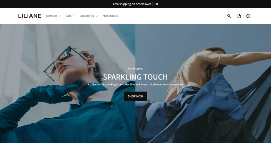 Luxury Fashion Shop website template