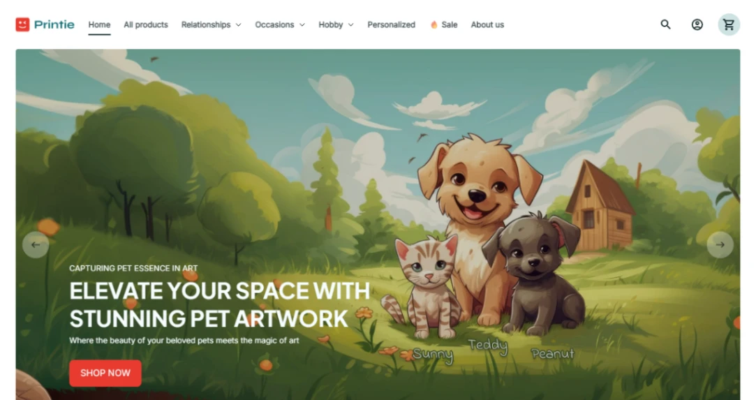 Custom Merchandise Store website template
