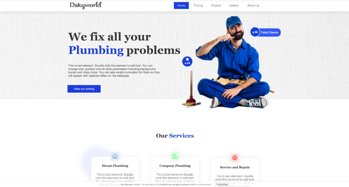 Professional Service website template