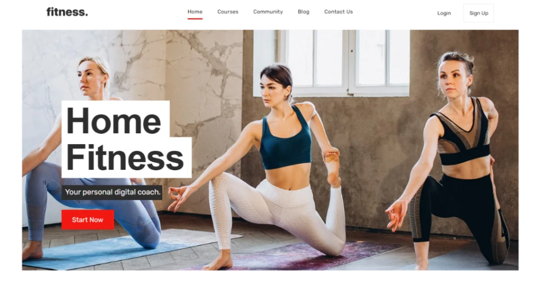 Online Fitness Coaching website template