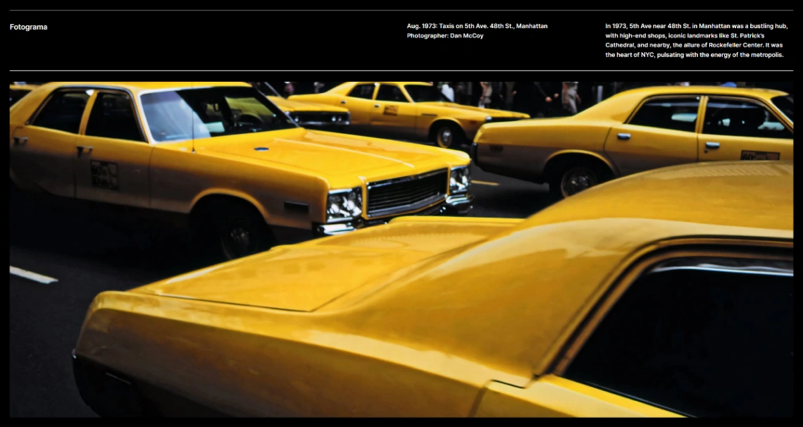 Professional portfolio website template