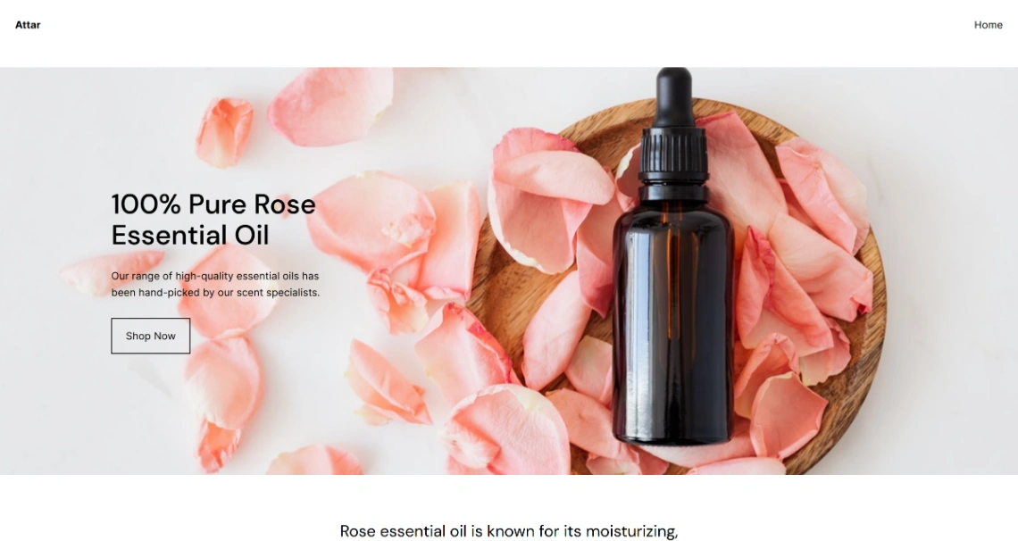 Digital storefront website template