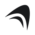 Anything logo