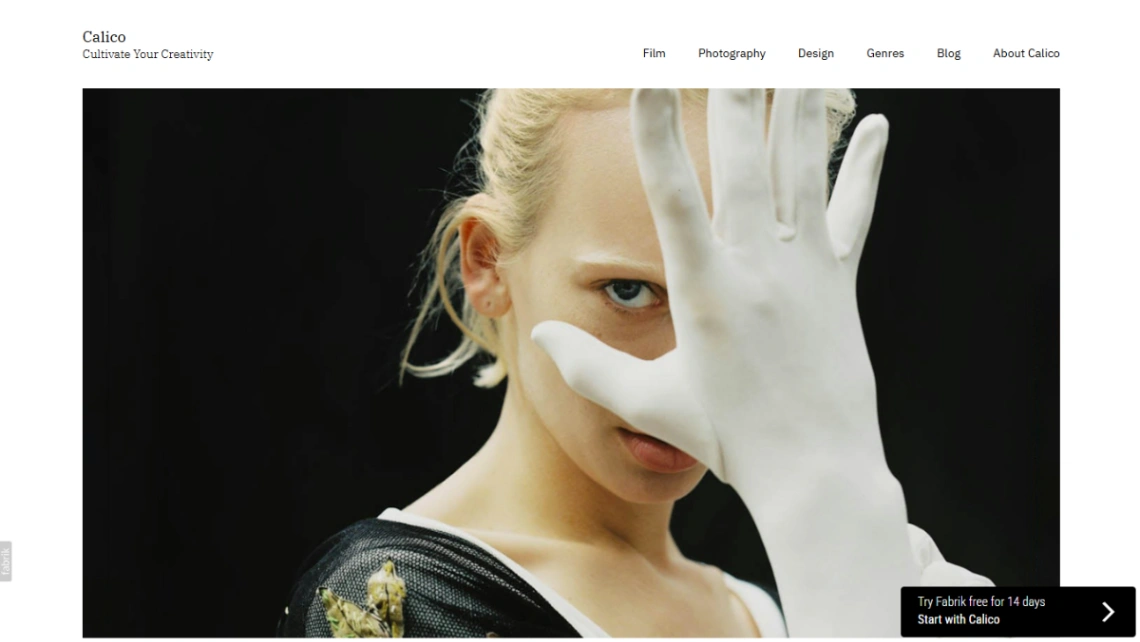 Asymmetric Portfolio website template