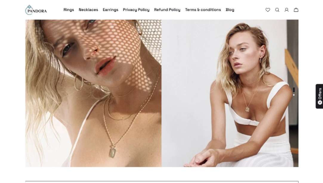 Accessory Brand website template