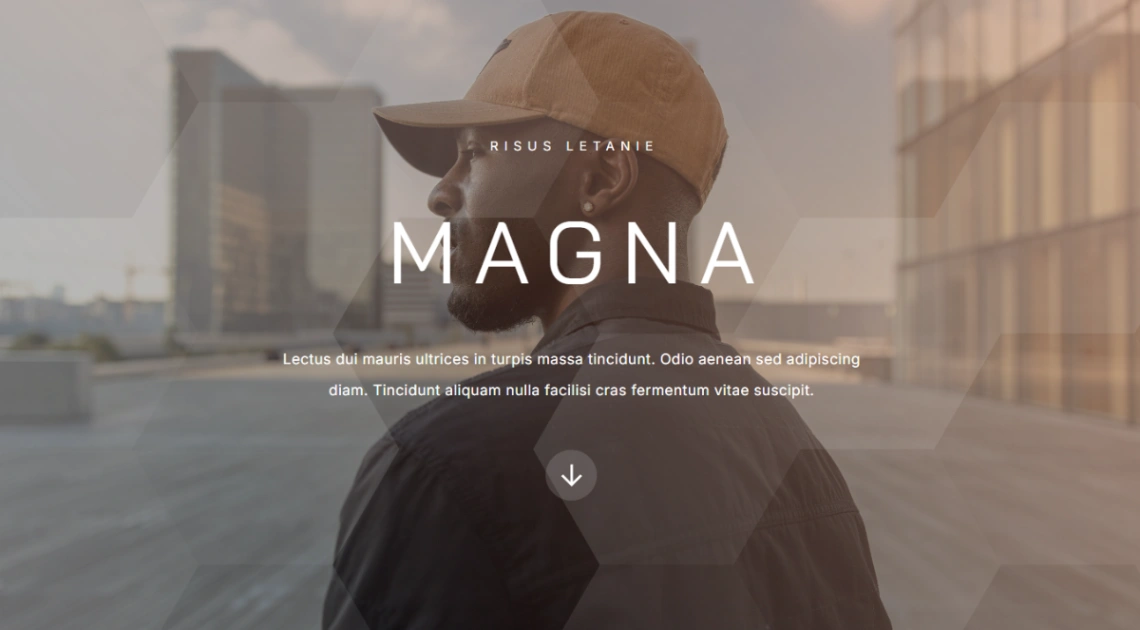 Professional Brand website template