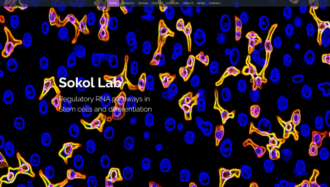 Bio Laboratory website template