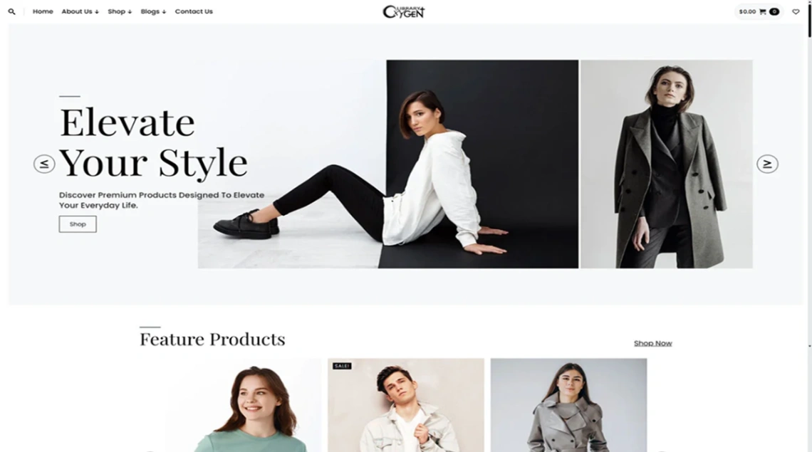 Modern Fashion website template