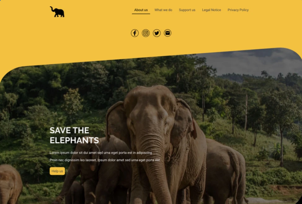 Non-profit Organization website template