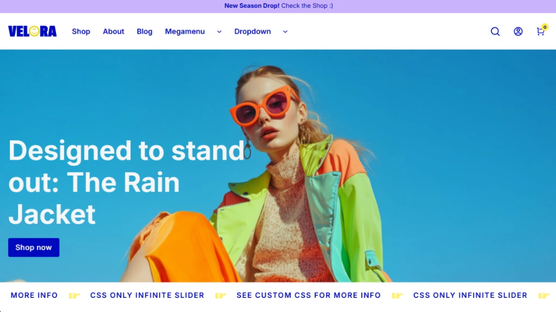 Fashion Ecommerce website template
