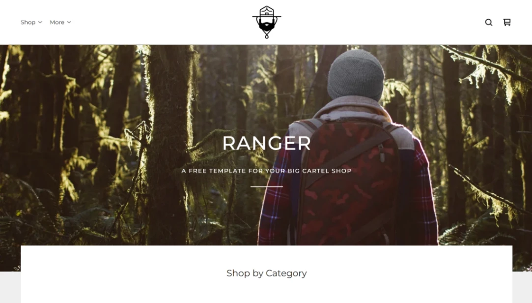 Collection Store website template