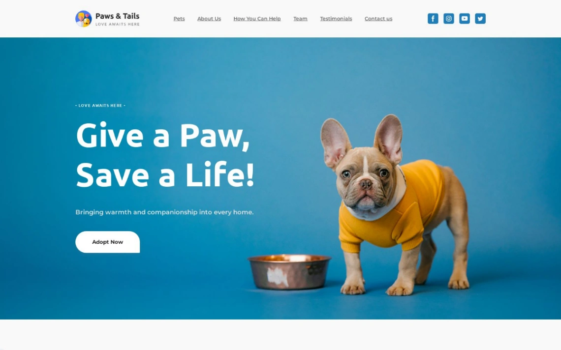 Pets Shelter website template