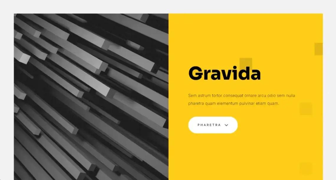Portfolio Showcase no code website template