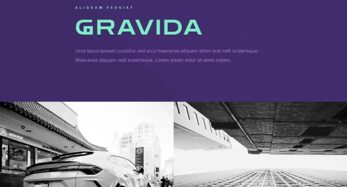 Creative Studio no code website template
