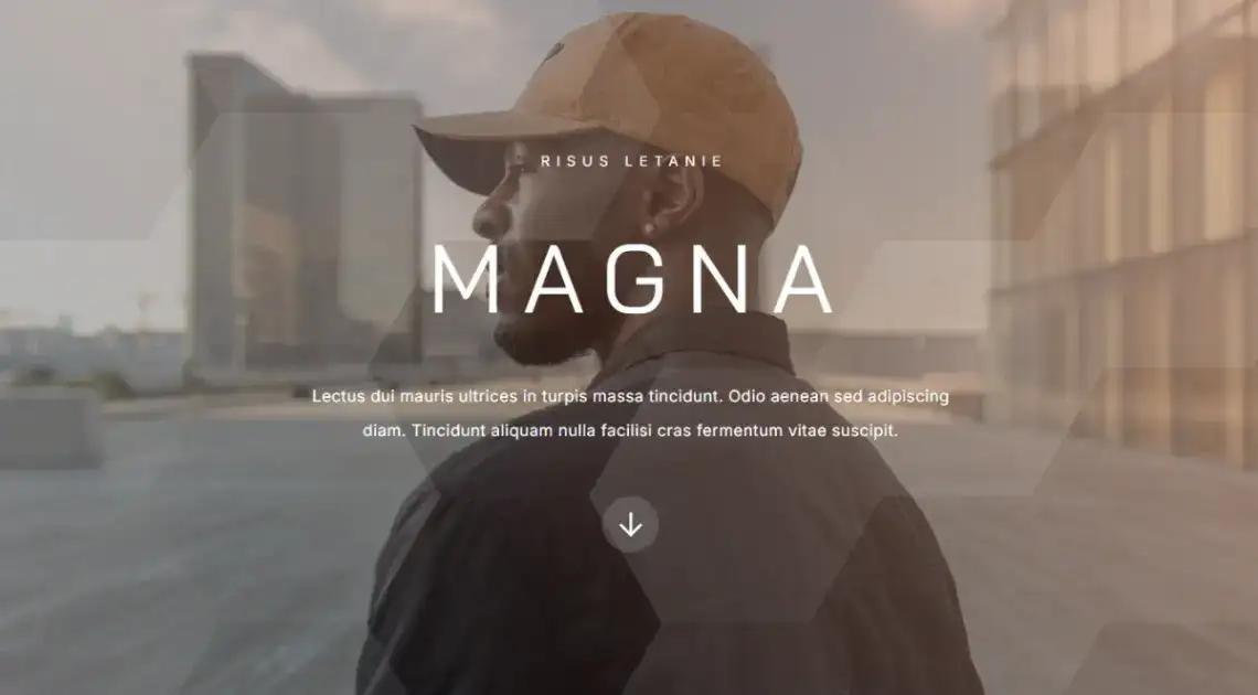 Professional Brand no code website template