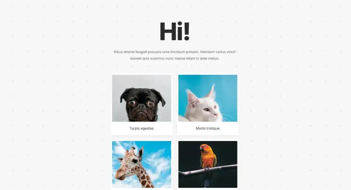 Newsletter home page screenshot