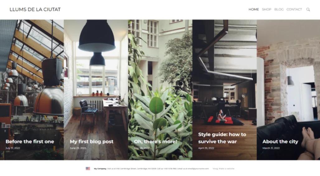 Blog & Shop website template