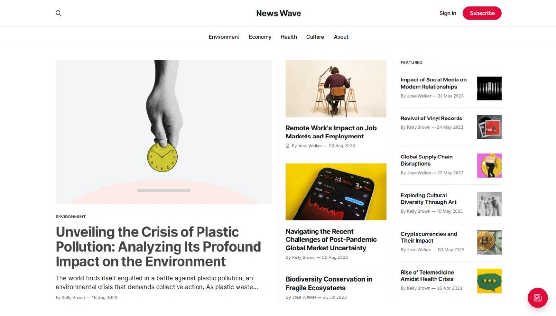 Professional Newsletter website template