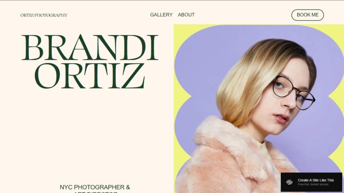 Professional Portfolio website template