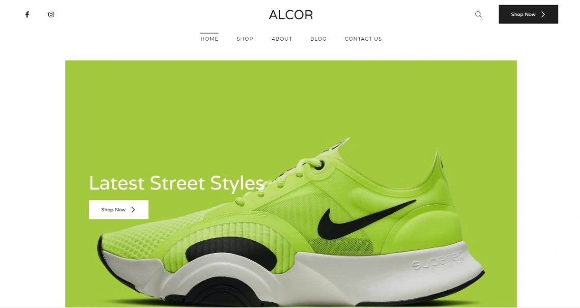 Footwear Brand website template