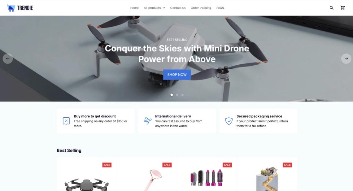 Multi-Products Store website template
