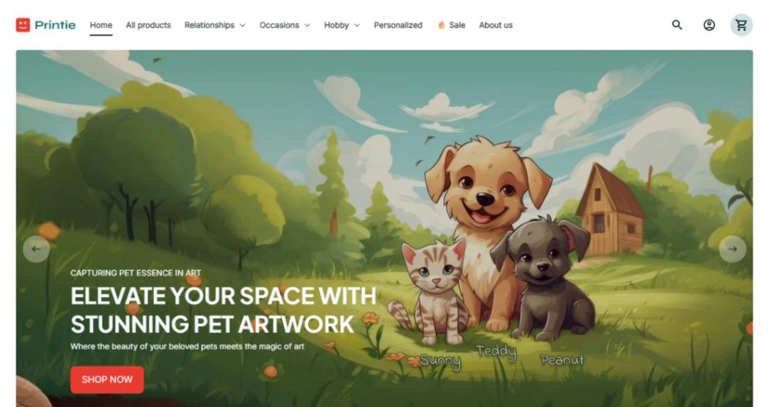 Custom Merchandise Store website template