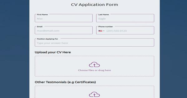 CV Application Form website template