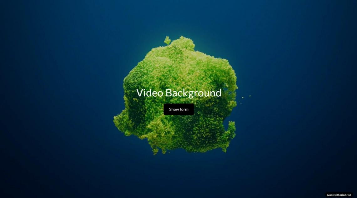 Video Background Form website template