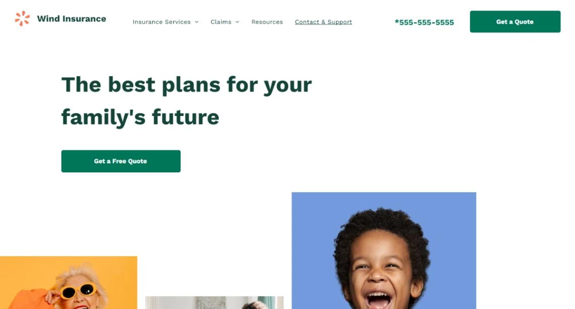 Life Insurance Provider website template
