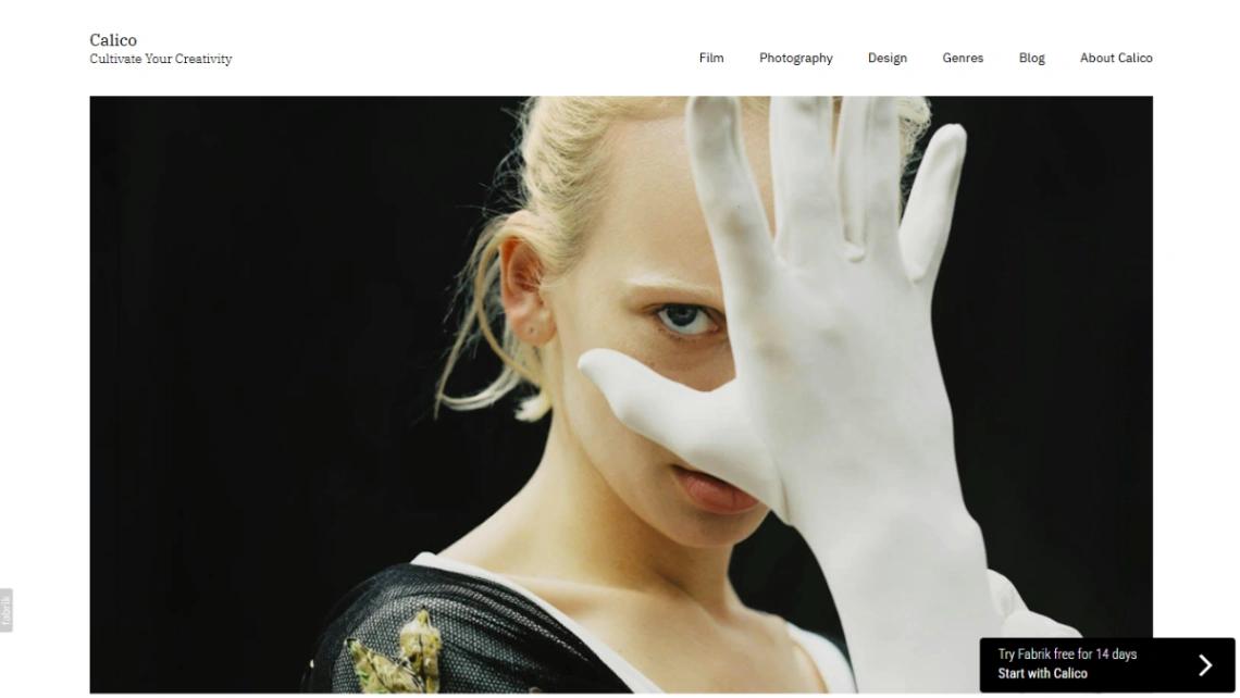 Asymmetric Portfolio website template
