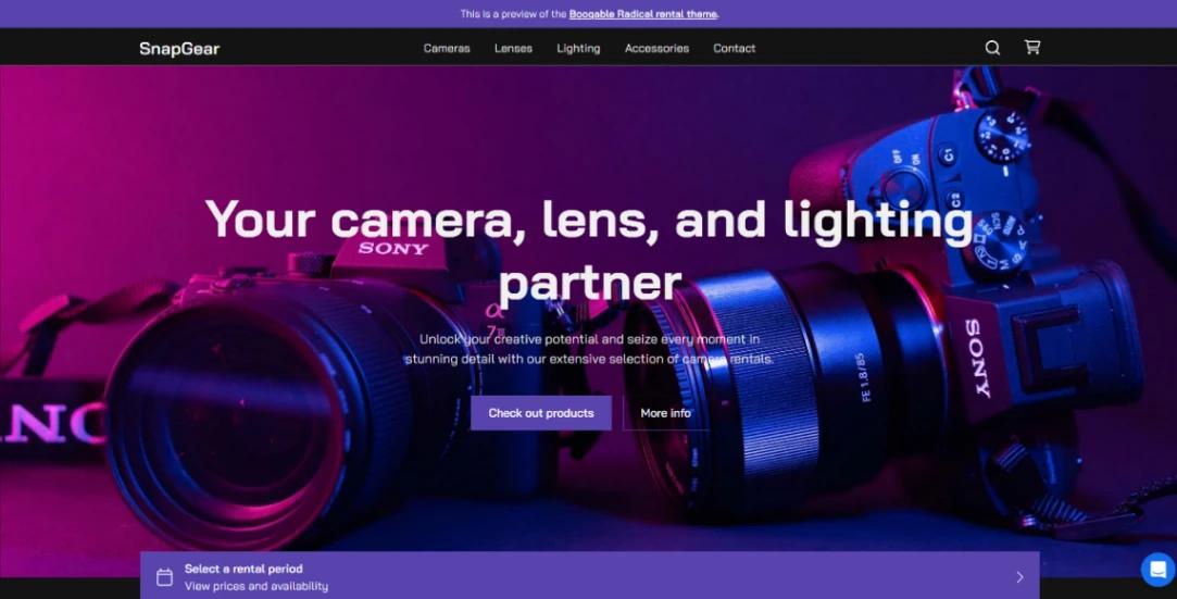 Camera Rental website template