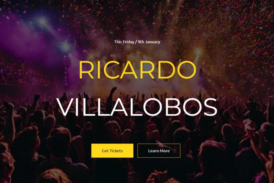 DJ & Nightclub Event website template