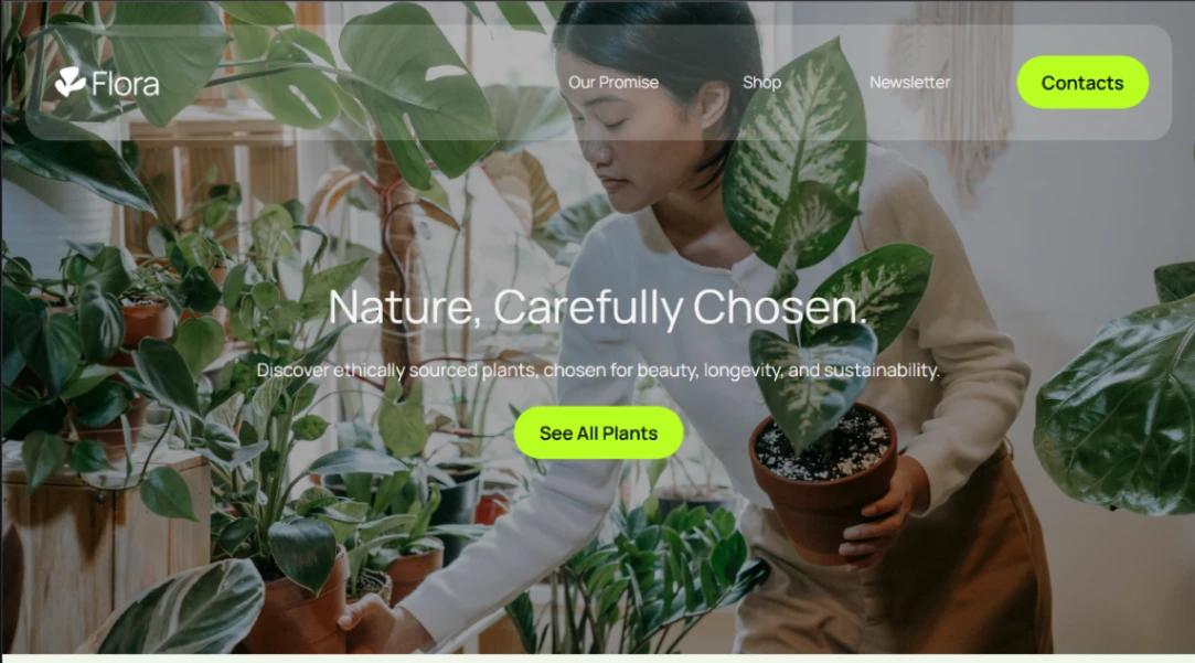 Product Launch website template