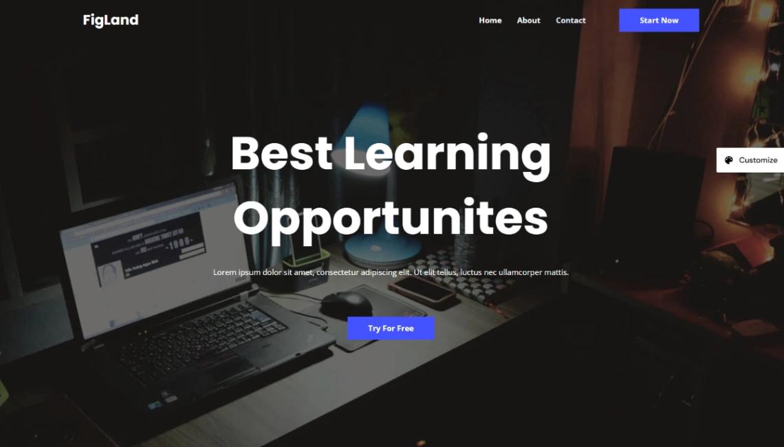 Online Learning Platform website template