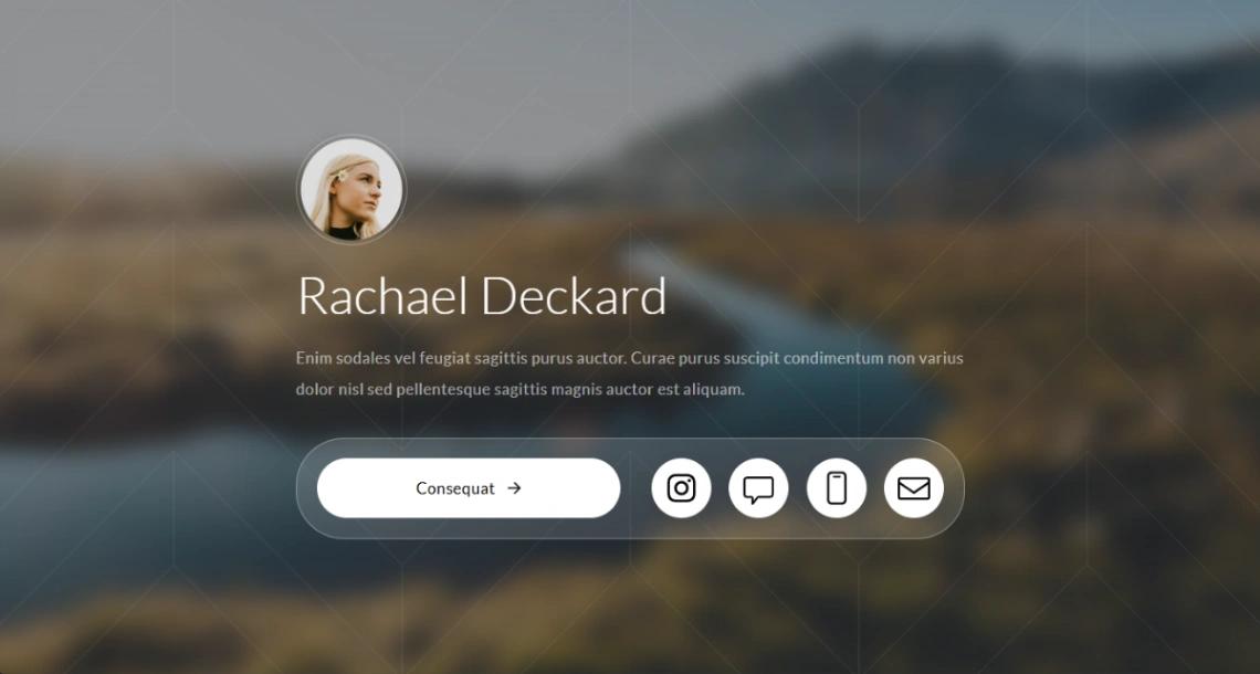 Professional Profile website template