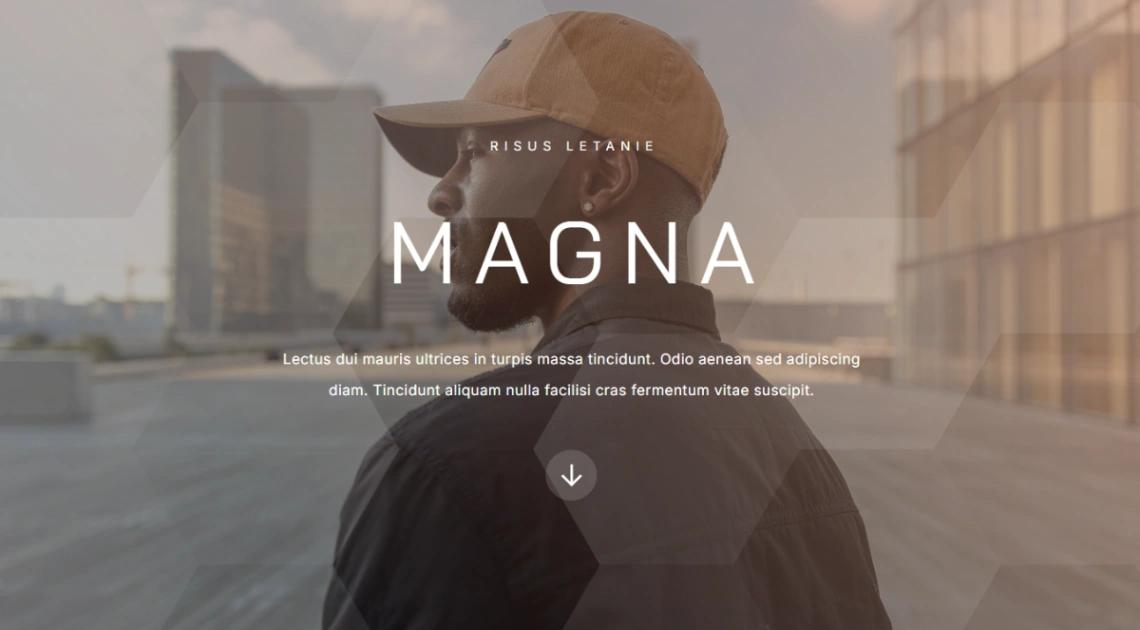 Professional Brand website template