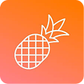 Pineapple Builder logo