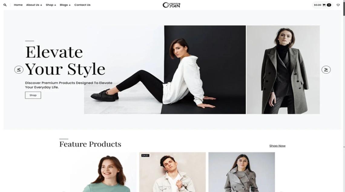 Modern Fashion website template