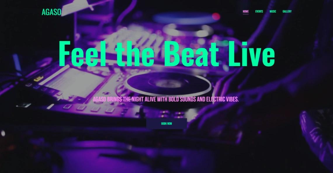 Electro DJ website template