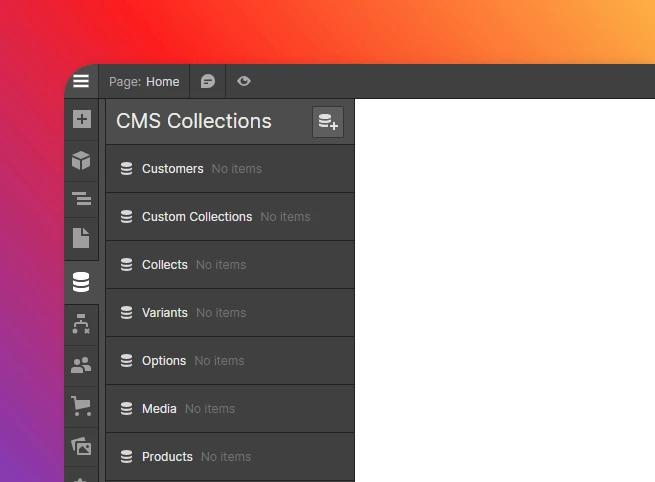 Shopify/Webflow CMS web application template