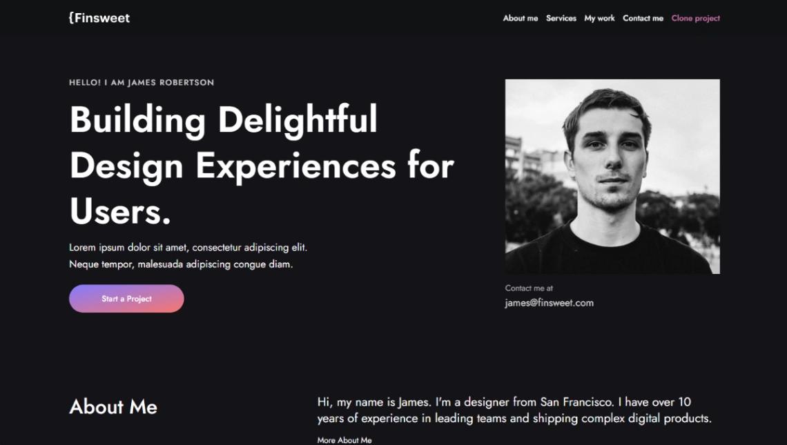 Professional Designer website template