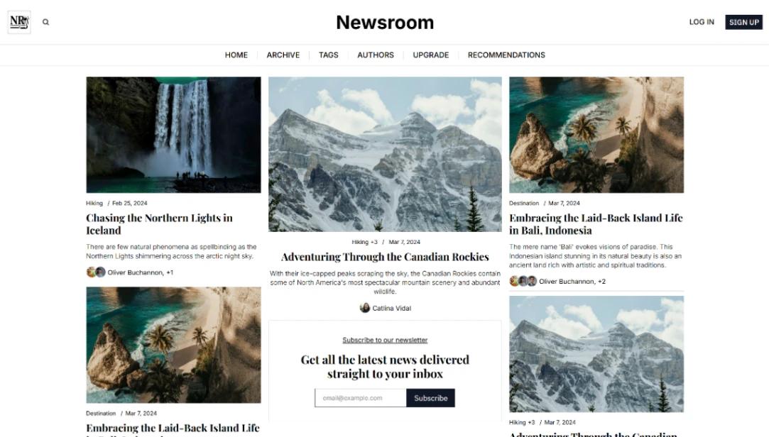 Newsroom Website website template